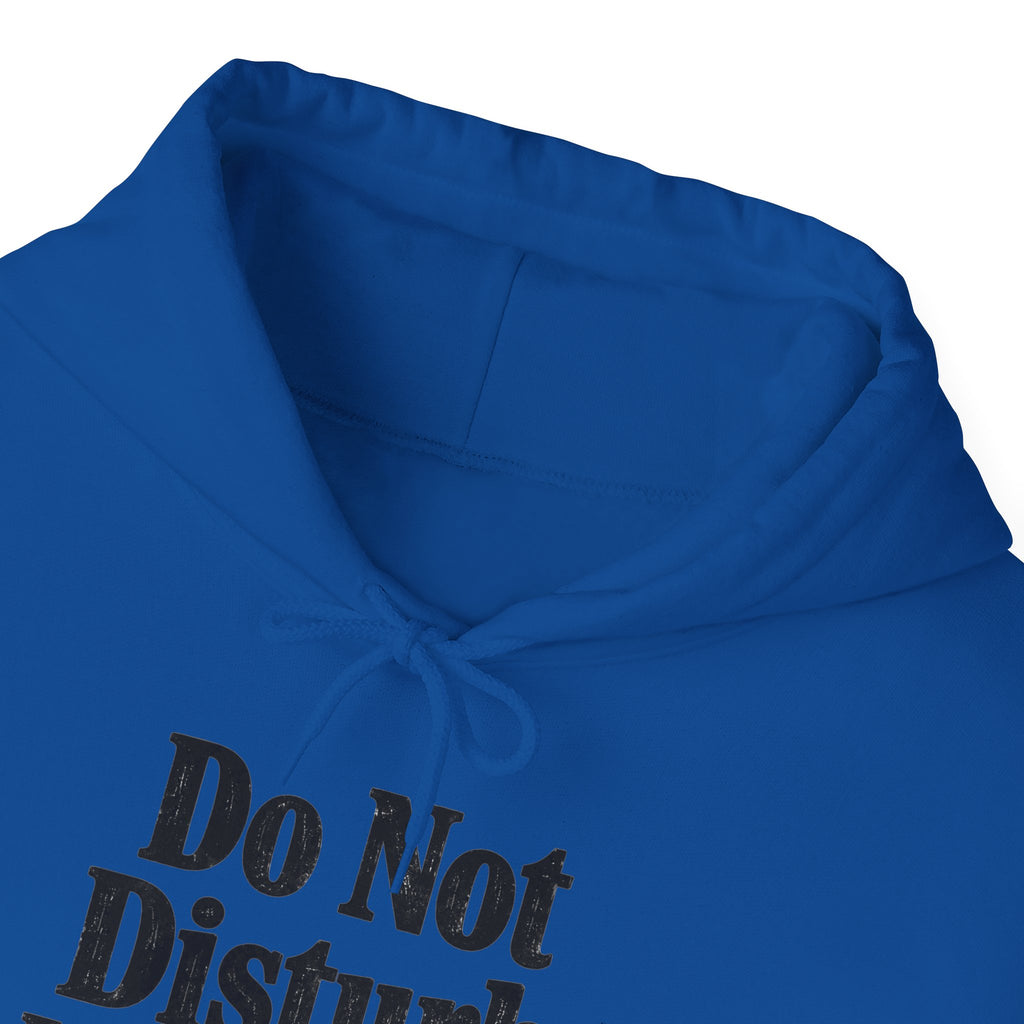 Do Not Disturb, I'm Reading Hoodie – Cozy Book Lover Hooded Sweatshirt