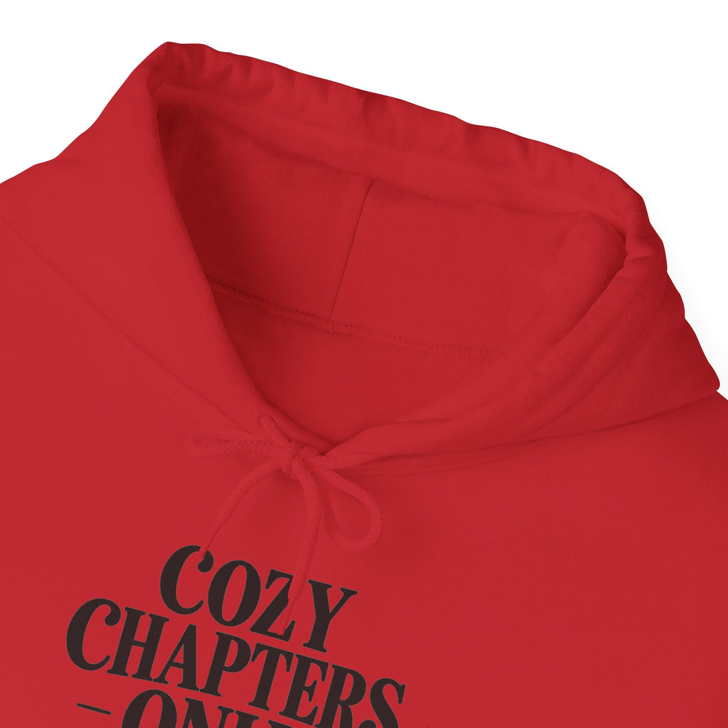 Cozy Chapters Only Hoodie – Book Lover Hooded Sweatshirt