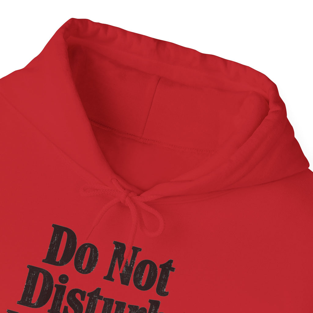 Do Not Disturb, I'm Reading Hoodie – Cozy Book Lover Hooded Sweatshirt