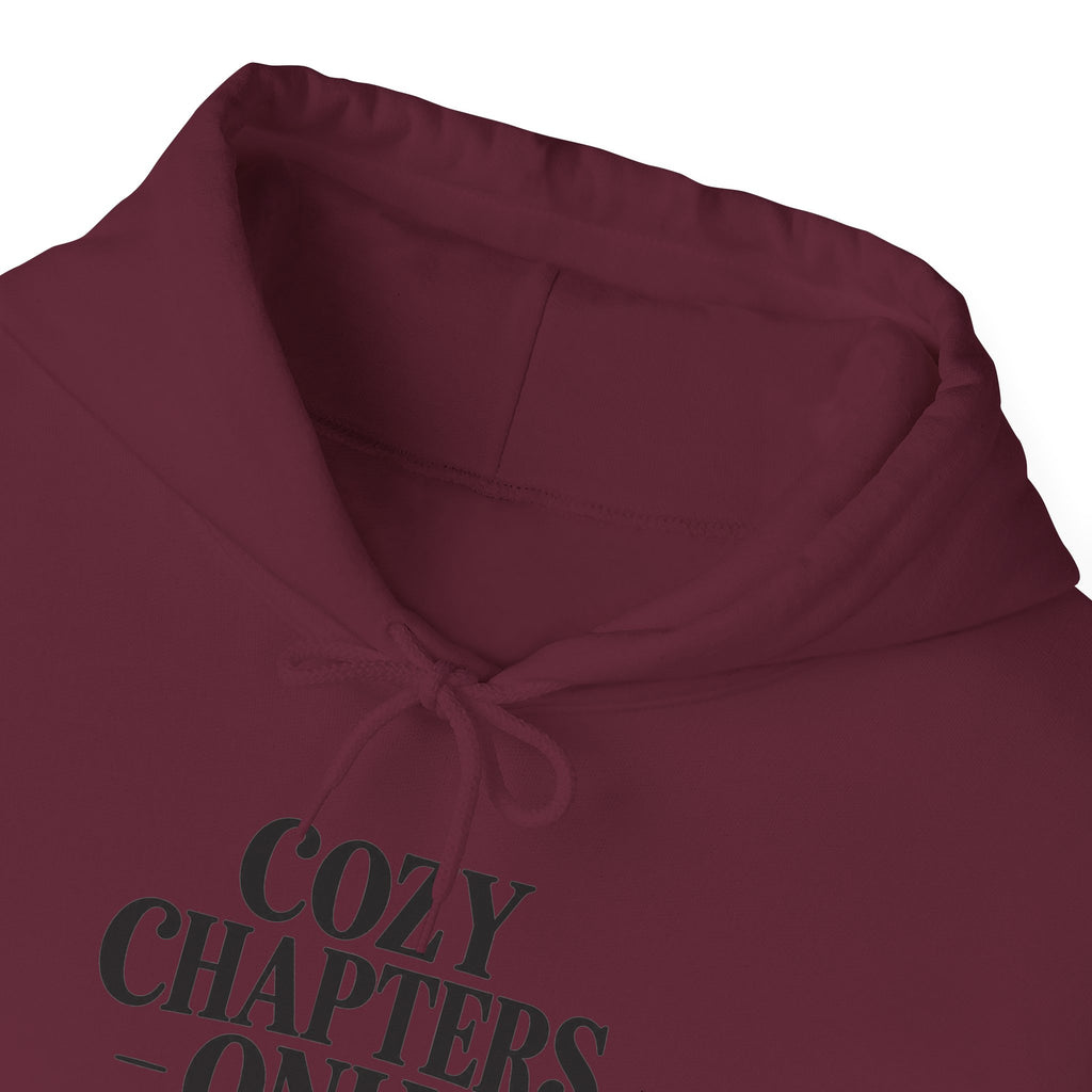 Cozy Chapters Only Hoodie – Book Lover Hooded Sweatshirt