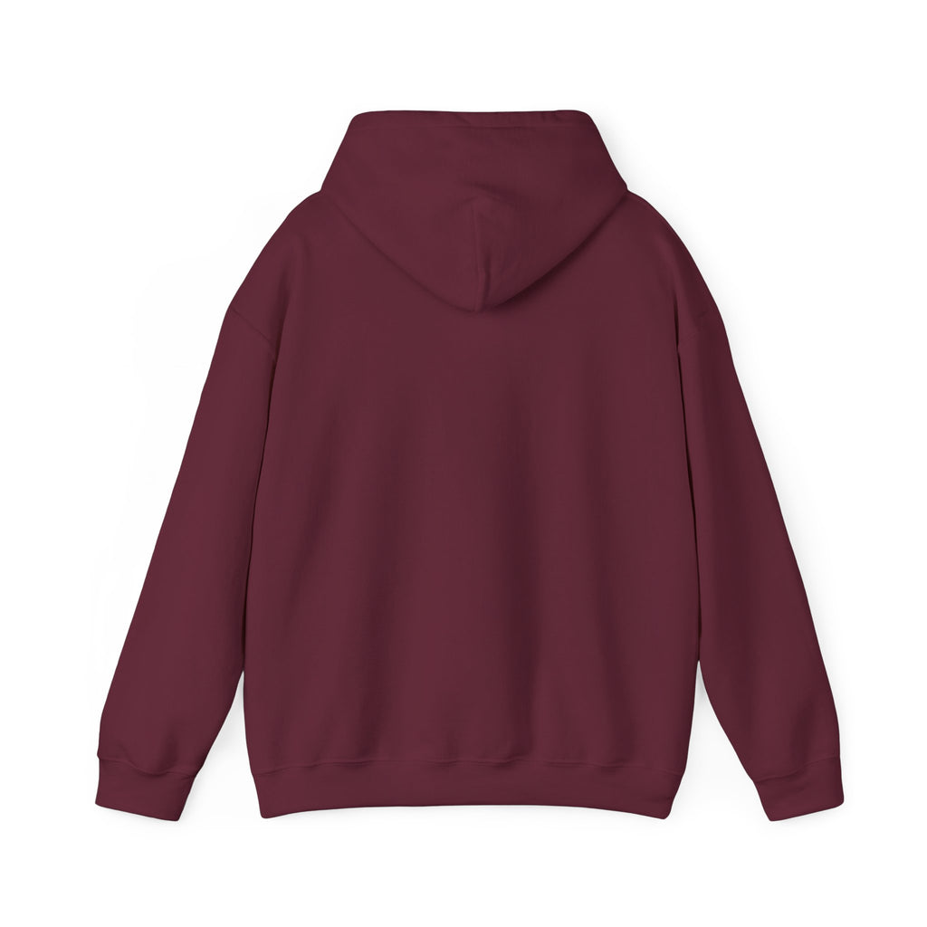 Cozy Chapters Only Hoodie – Book Lover Hooded Sweatshirt