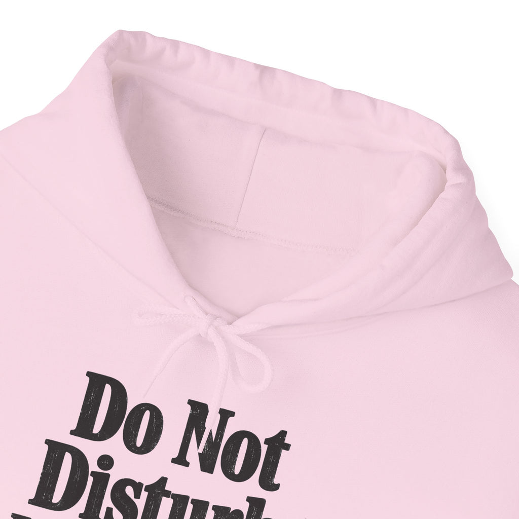 Do Not Disturb, I'm Reading Hoodie – Cozy Book Lover Hooded Sweatshirt