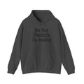 Do Not Disturb, I'm Reading Hoodie – Cozy Book Lover Hooded Sweatshirt