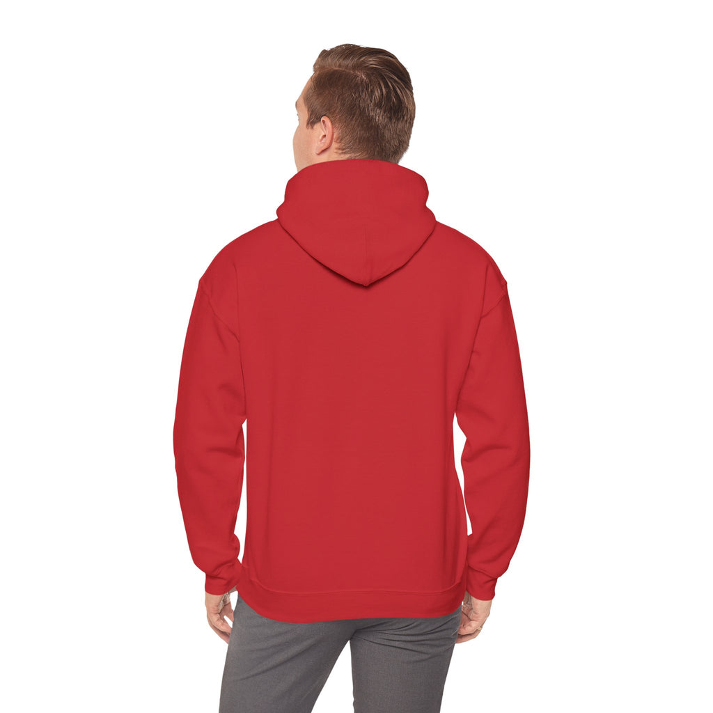 Do Not Disturb, I'm Reading Hoodie – Cozy Book Lover Hooded Sweatshirt