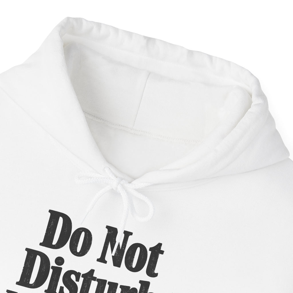 Do Not Disturb, I'm Reading Hoodie – Cozy Book Lover Hooded Sweatshirt